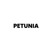 PETUNIA